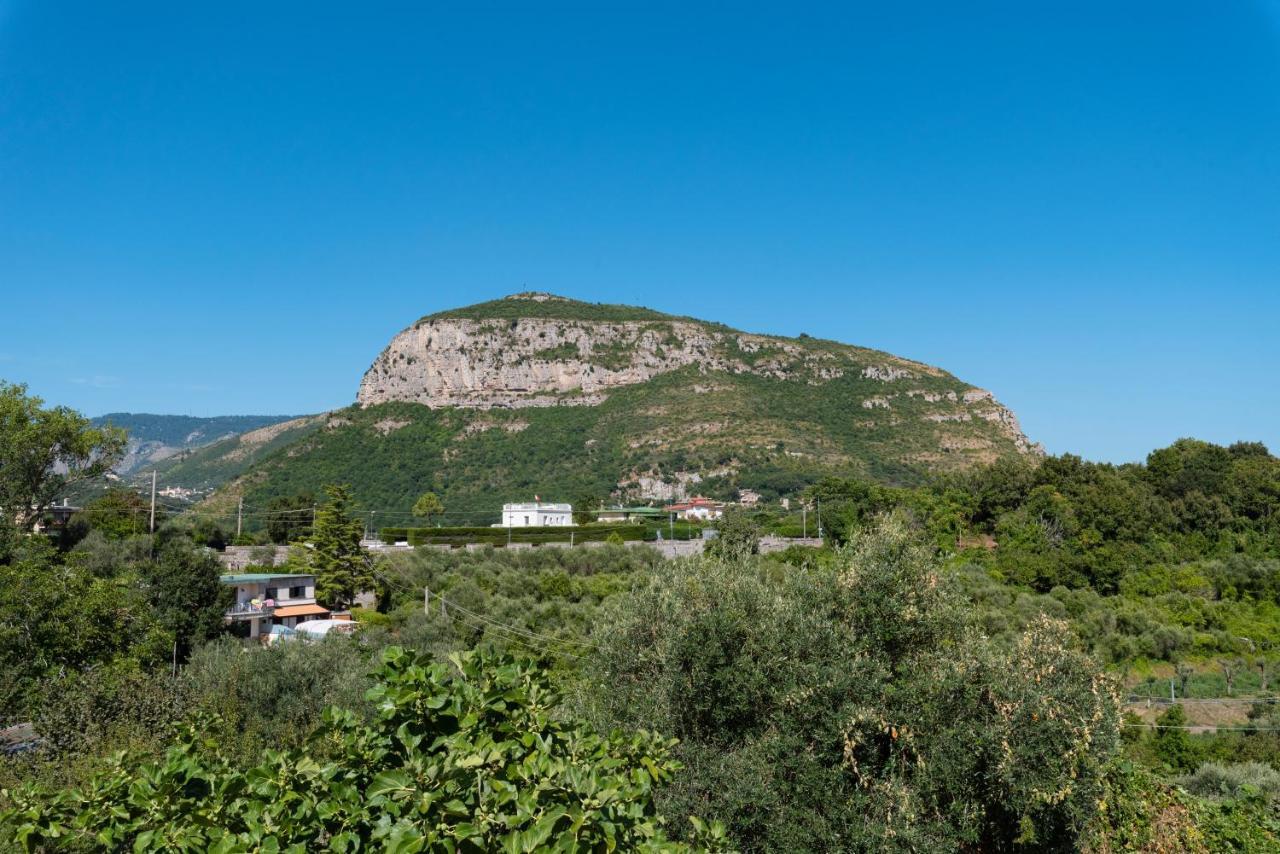 Villa Anna - De Vivo Realty Piano Di Sorrento Exterior foto